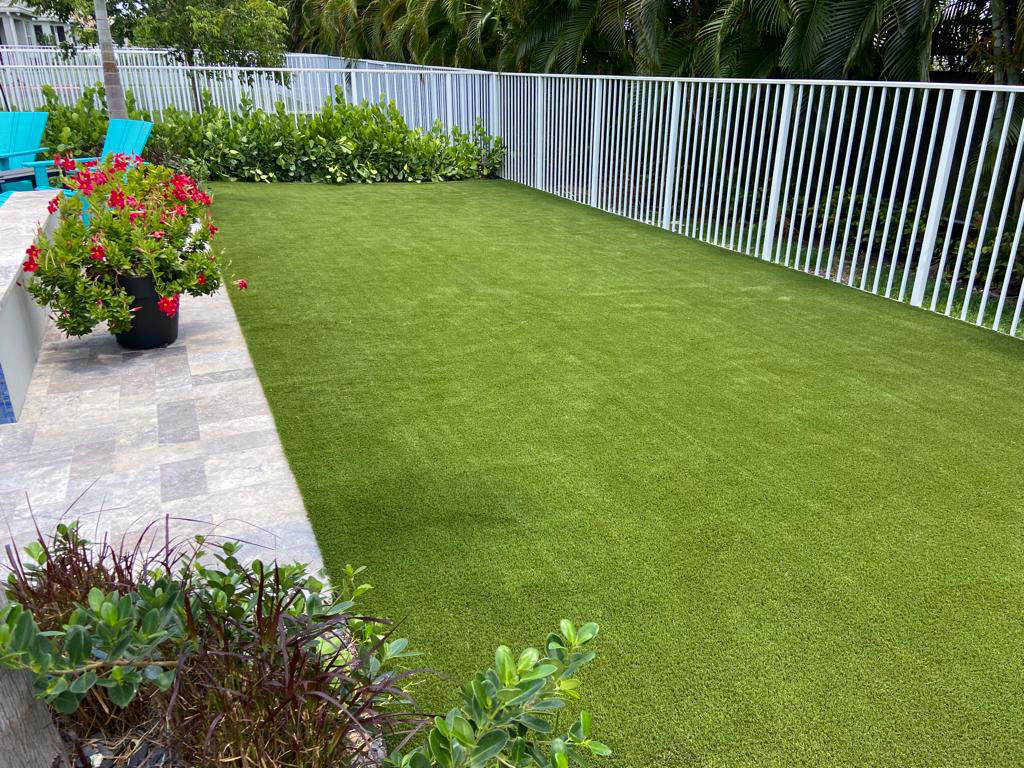 miami dolphins diamond turf