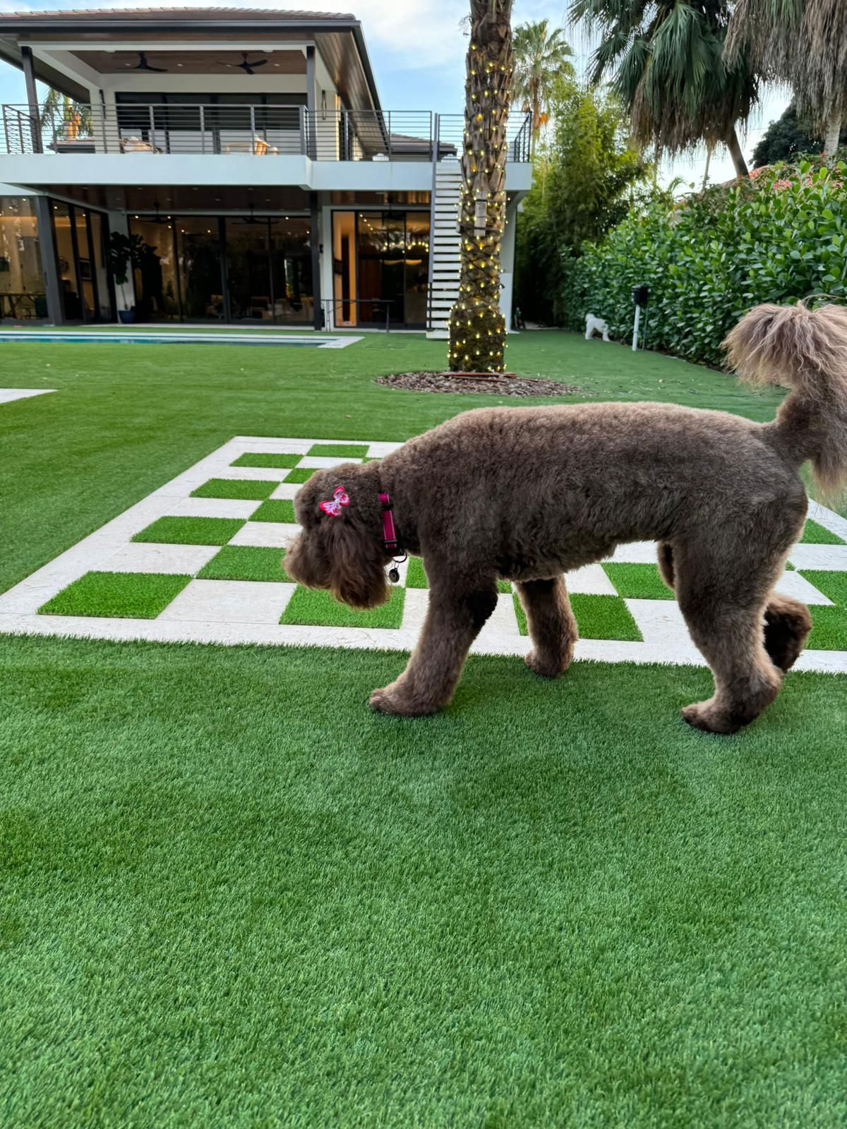 miami dolphins diamond turf